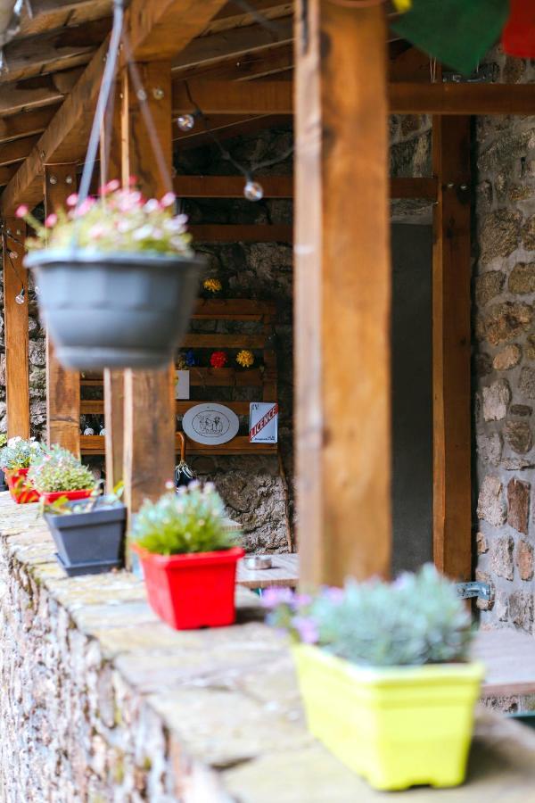 Au Chat Bleu Saint-Laurent-les-Bains Экстерьер фото